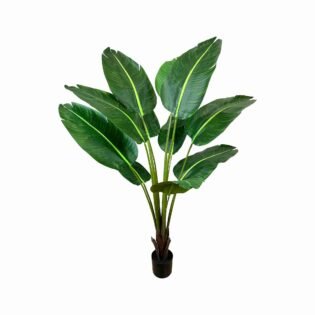 UV Rated Outdoor 5' Traveler's Palm Drop-In