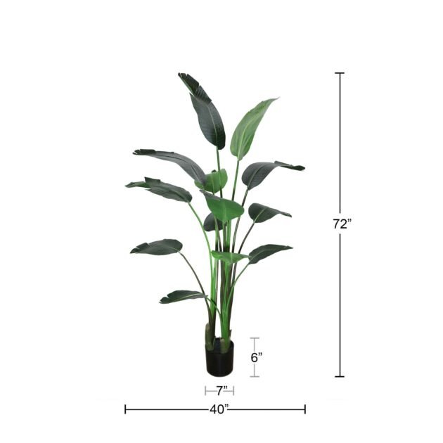Bird of Paradise Drop-In - Image 2